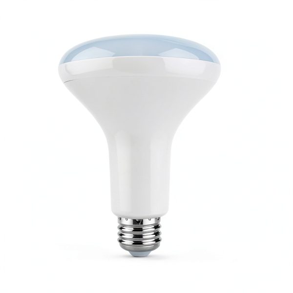 Feit BR30 Smart LED Bulb E26 Base Adjustable White Lighting-1