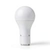 Viribright GU24 LED Bulb 9W 60W Equivalent Warm White-2