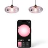 Philips Hue Smart Bulb Color Voice Control Home Lighting-2
