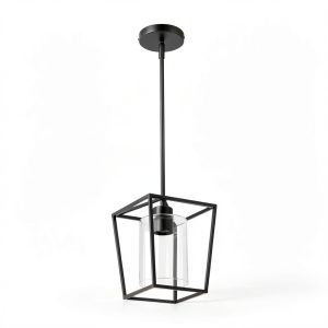 Black Cage Pendant Light Farmhouse Metal Frame Clear Glass-0