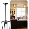 Black Cage Pendant Light Farmhouse Metal Frame Clear Glass-1