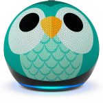 home assistant