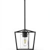 Black Cage Pendant Light Farmhouse Metal Frame Clear Glass-6