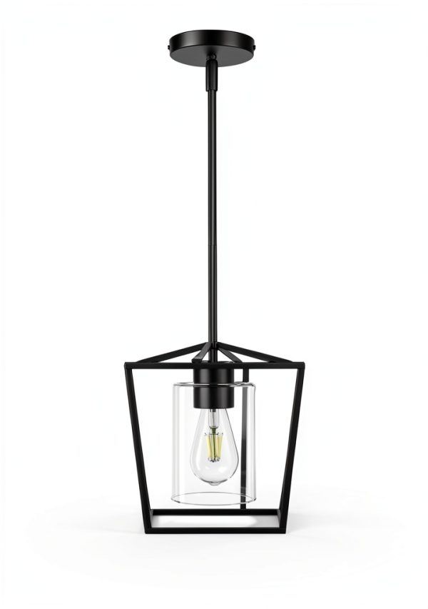 Black Cage Pendant Light Farmhouse Metal Frame Clear Glass-6