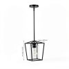 Black Cage Pendant Light Farmhouse Metal Frame Clear Glass-7