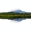Hoya NXT Plus 58mm Circular Polarizer Filter Photographers-2