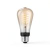 Philips Hue Filament Smart Bulb White Ambiance ST19-3