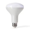 Feit Smart LED Bulb BR30 E26 Daylight Smart Enabled-1