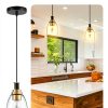 Pavo Glass Pendant Light Black Gold Adjustable Kitchen-1
