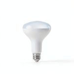 Feit Smart LED Bulb BR30 E26 Daylight Smart Enabled-0