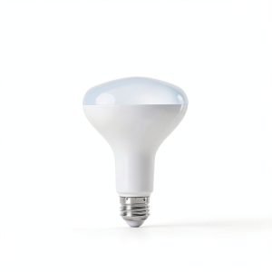 Feit Smart LED Bulb BR30 E26 Daylight Smart Enabled-0