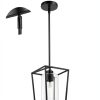 Black Cage Pendant Light Farmhouse Metal Frame Clear Glass-3