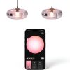 Philips Hue Smart Bulb Color Control Voice Dimming-4