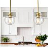 Pavo Clear Glass Globe Pendant Light Modern Farmhouse-1