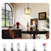 Black Cage Pendant Light Farmhouse Metal Frame Clear Glass-4