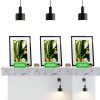Pavo Rechargeable Wall Sconces Wireless Remote Control-1