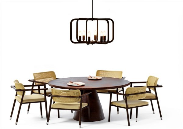 Pavo Black Chandelier Adjustable Height Modern Farmhouse-2